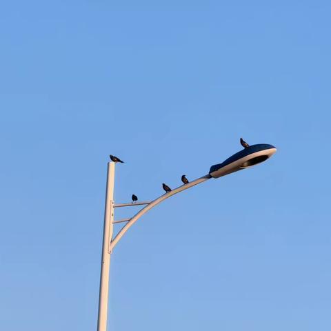 B1U3 Review of Living Legends——记高三英语组陈露淋老师课题公开课