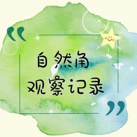 我们的自然角——种植篇