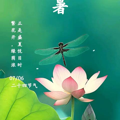 小暑至 盛夏始——徐州市薛湖小学二十四节气之小暑主题活动