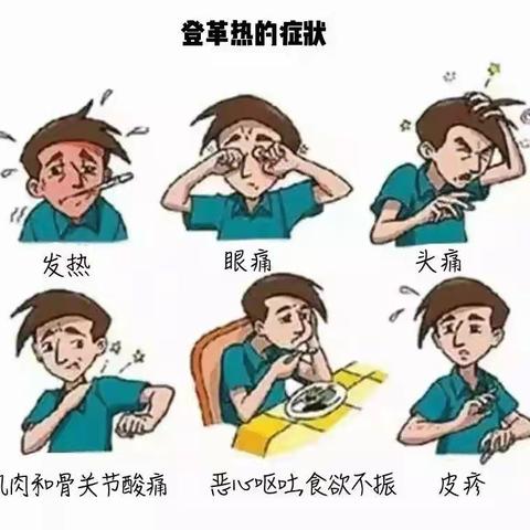 同乐幼儿园预防登革热宣传