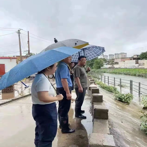 “守护河道 我们在行动”——光明桥街道开展巡河活动