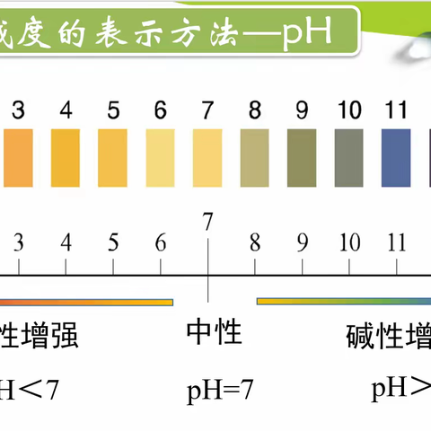 初三化学“问诊课堂，助力教学”