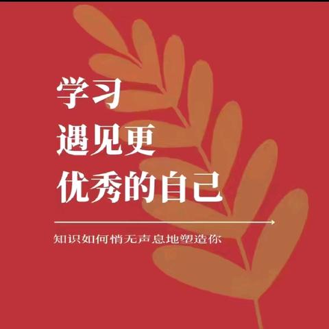 携手成长，共筑未来 ——2024 年赤坎区中小学教师全员轮训活动