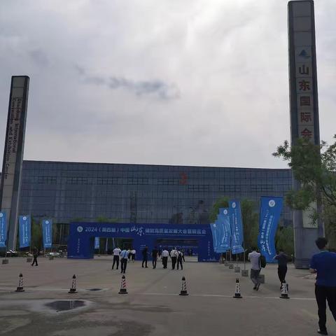 2024.6.5山东省电力行业协会第四届理事会第二次会议在济南召开