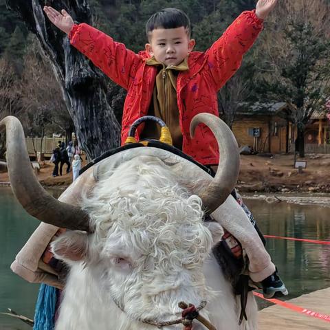 阅时光·悦分享 榆林市第二幼儿园