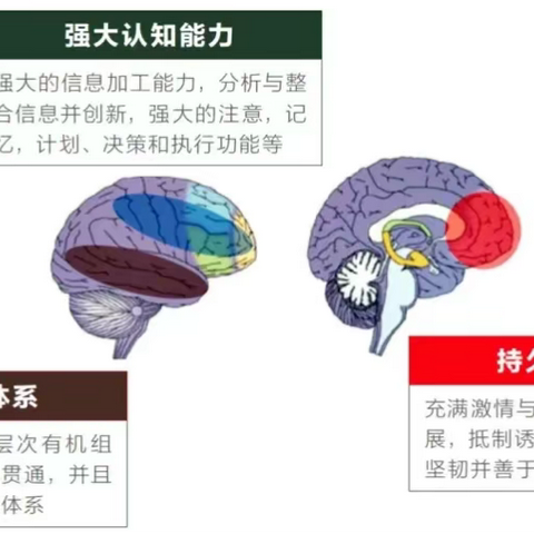 一起学习北师大脑科学教授薛贵谈提升孩子大脑的学习力