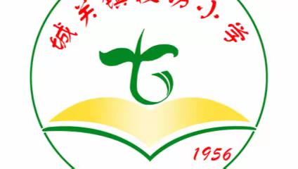 千阳县城关镇段坊小学2024年暑假安全教育致家长一封信