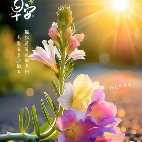 云南爱佳物业-红福苑小区 ﻿2025年3月第四周物业服务工作简报