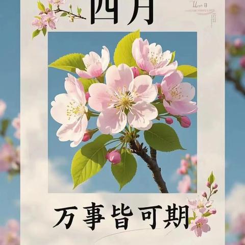 云南爱佳物业-红福苑小区 2025年4月下半月工作简报