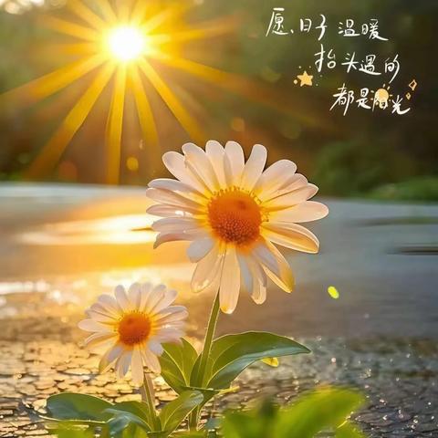 云南爱佳物业-红福苑小区2025年6月第一周物业服务工作简报