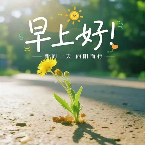 云南爱佳物业-红福苑小区 ﻿2025年7月下半月物业服务 ﻿工作简报