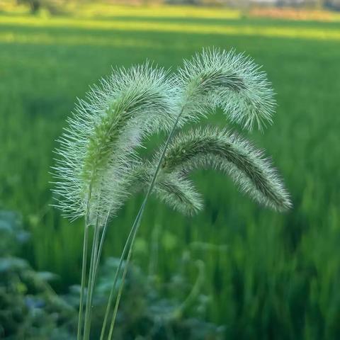 云南爱佳物业-红福苑小区 ﻿2025年9月物业服务工作简报