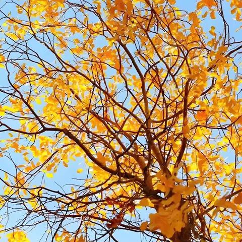 云南爱佳物业-红福苑小区 ﻿2025年10月物业服务 ﻿工作简报