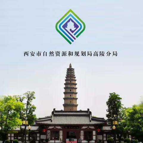 邹晓刚带队检查土地违法图斑整改和地质灾害防治工作情况