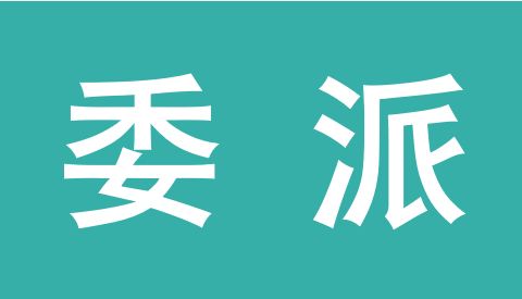 深圳市龙岗区股份合作公司议事规则科普（8）：委派——面对不确定情况时的有效会议工具