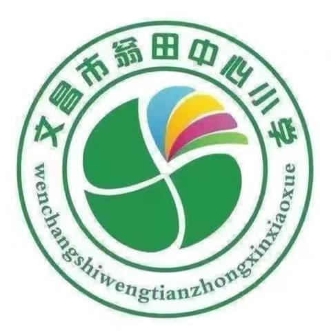 文昌市翁田中心小学少年儿童“智力七巧科技”初赛活动