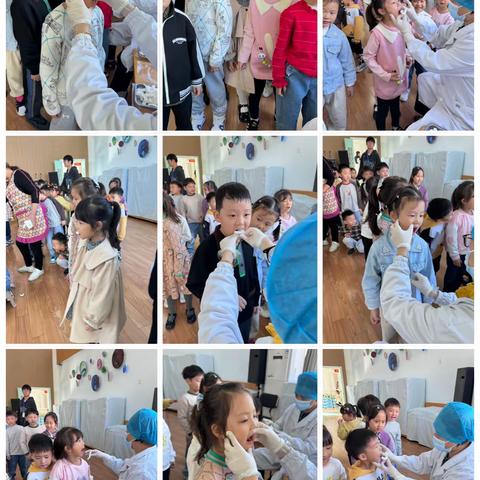 知节气 晓立冬——大五班一周精彩活动