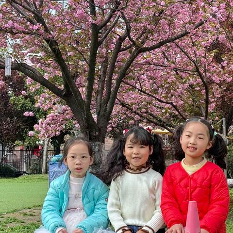恰逢春日 一束鲜花 一面春光——大五班一周精彩活动