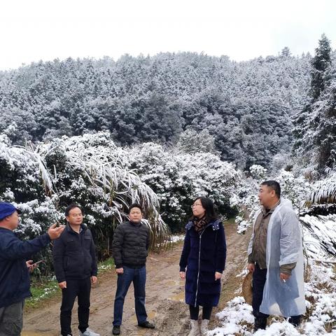 列东街道全力以赴应对低温雨雪冰冻灾害，保障居民安全