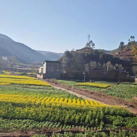 村人大代表实地参观，探寻乡村产业发展之路