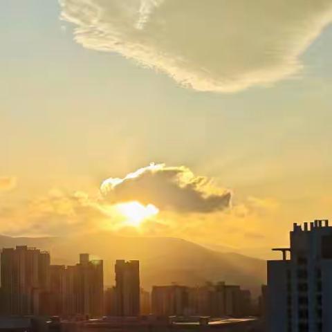 城市中的自然印记：生态与生活的交融观察