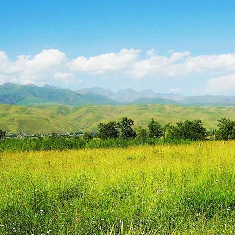 参与市区联动教研，共谋新课标课堂改革   ——小记地理备课组第五周备课活动