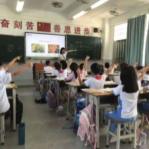 【龙溪龚湖小学】开展公开课活动，不断优化