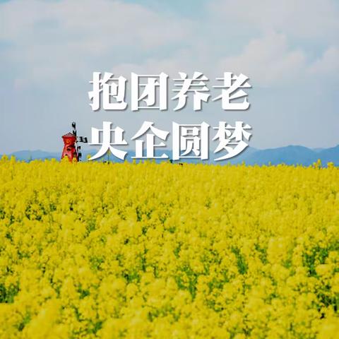 定制化内卷时代，竟有央企瞄准了抱团养老这个小众市场？