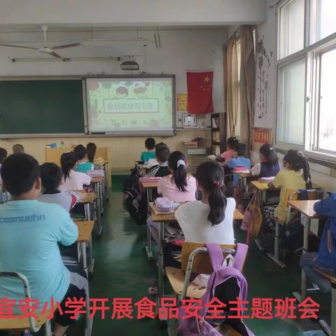 鹿泉区宜安镇宜安小学的文章