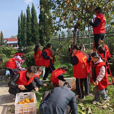 红柿映初心，童心践文明 张郝小学开展主题党日与校园清洁志愿服务活动