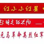 元谋元马革命英烈红军小学2024年 校本课程“爱上游泳”开课启动仪式