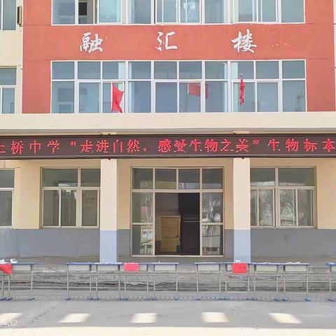 启科学之门 塑生物之魂——土桥中学举办生物标本制作展览