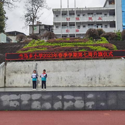 正言立行 正德修身 正己守道——走马乡小学校“养正德育”构建之值周班级风采展示