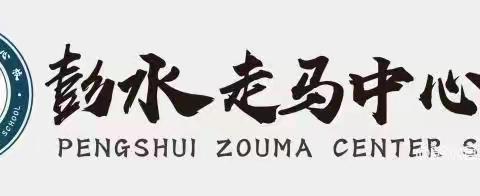 正言立行 正德修身 正己守道——走马乡小学校“养正德育”构建之值周班级风采展示