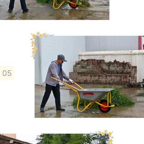 “清蒿行动”进校园， ﻿筑牢健康防护线 ——额市二中开展蒿草集中整治行动