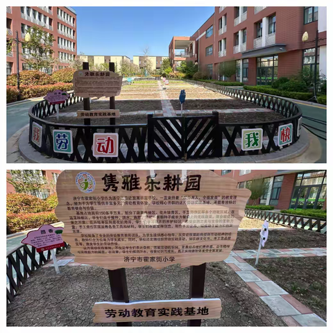 予春光，下耘田——济宁市霍家街小学劳动周种植活动