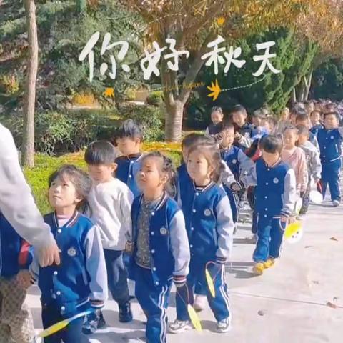 启蒙幼儿园———拾秋记