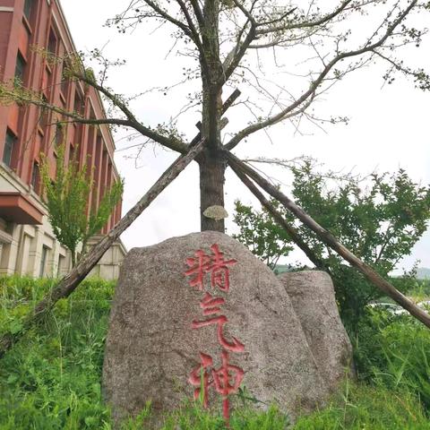 学无“纸”境      无“笔”开心——栖霞市亭口中心小学无纸化乐考