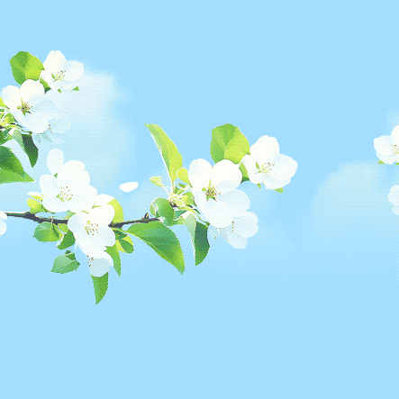 以智慧为舟，以匠心为浆——走进高一年级数学组优秀教师团队