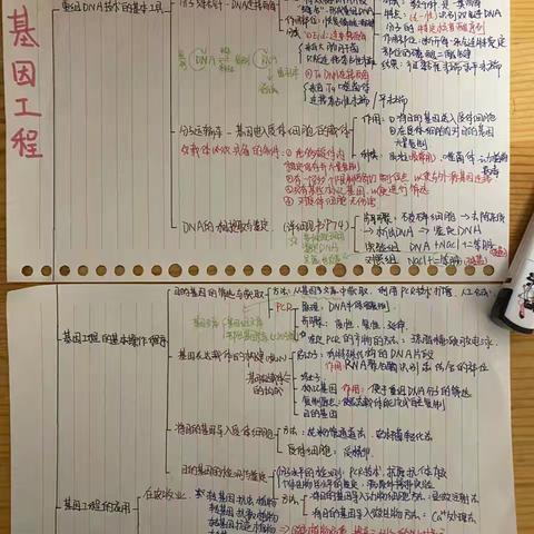 画一学科思维导图