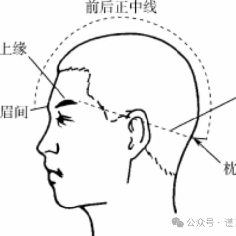 焦顺发：《焦顺发头针》定位的具体介绍