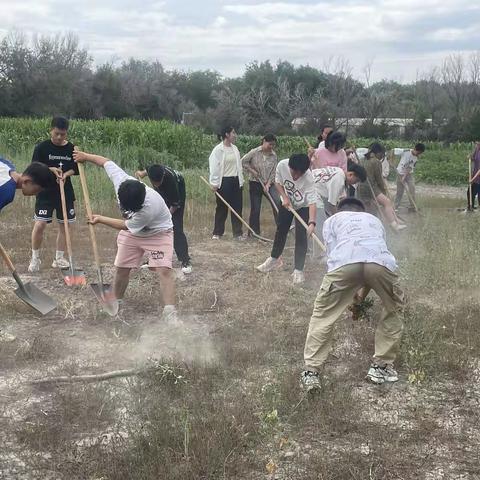 感恩母校 团结农场中学九年级毕业生义务除草展风采