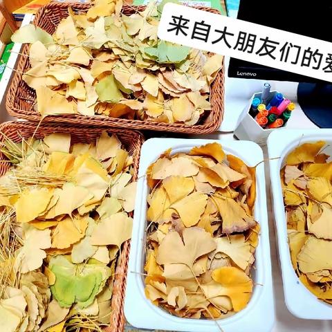 银杏叶大变身——班级落叶手工活动