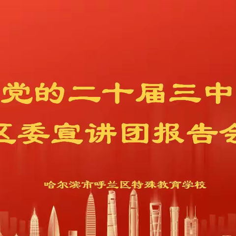 《学习贯彻党的二十届三中全会精神 区委宣讲团报告会》