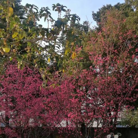 民主评议 再接再厉