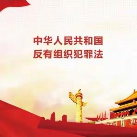 师范幼儿园《反有组织犯罪法》的学习宣传