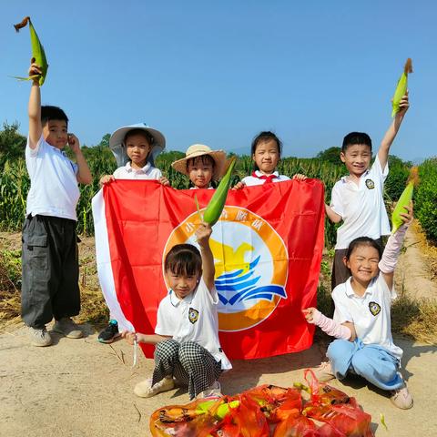 洋安小学桂花村劳动实践——小马奔腾队　　二年级2班