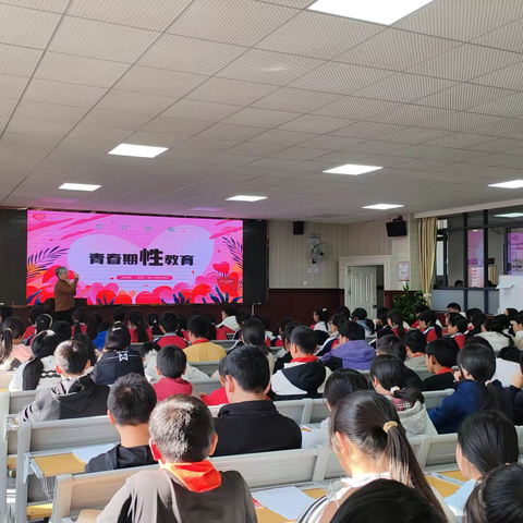 “守护青春，向阳生长”——昆明市白沙河中学校2025年心理健康教育活动