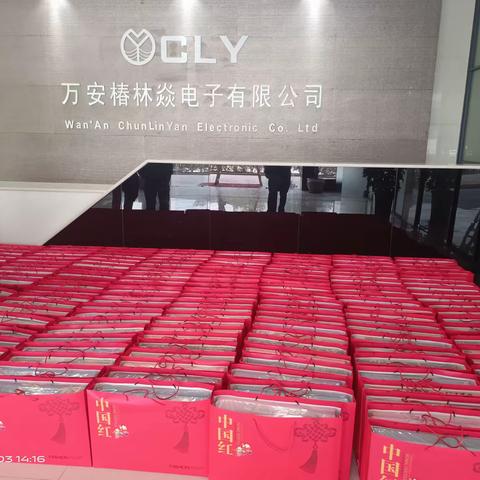 喜迎新春 龙腾虎跃--万安椿林焱电子有限公司喜迎龙年