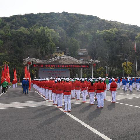 第十三届(中国·福安)穆云畲乡桃花节花海健步闪亮登场